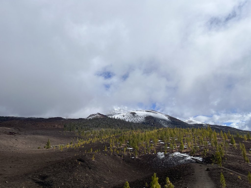 Blick auf den Teide