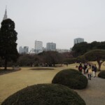 Shinjuku Gyoen Park