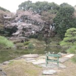 Shinjuku Gyoen Park