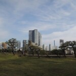 Rikyu Garden - Stadtblick Rikyu Garden - Stadtblick