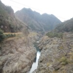 Japanischer Rhein Japanischer Rhein