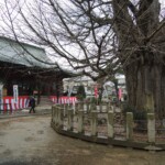 Am Hida Kokubunji Tempel Am Hida Kokubunji Tempel