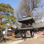 Takayamabetsuinshorenji Takayamabetsuinshorenji