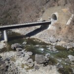 "Japanischer Rhein" "Japanischer Rhein"