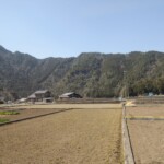 Trockene Reisfelder Trockene Reisfelder