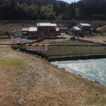 Grüner Tee Grüner Tee