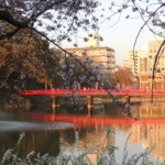 Tenshiba am Abend Tenshiba am Abend