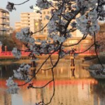 Tenshiba am Abend Tenshiba am Abend