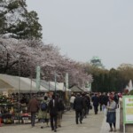 Burg Osaka mit Blumenständen Burg Osaka mit Blumenständen