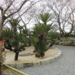 Vorgarten in Kyoto Vorgarten in Kyoto