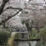 Tetsugaku-no-Michi Tetsugaku-no-Michi