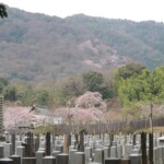 Nison-in Temple Nison-in Temple