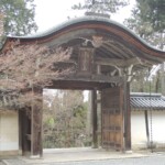 Gio-Ji Gio-Ji