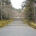Gio-Ji Gio-Ji