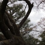 Ein Vogel :) Ein Vogel :)