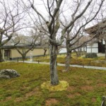 Zen-Gärten Zen-Gärten