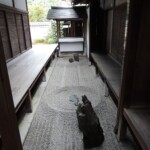 Ōbai-in Zen Gärten Ōbai-in Zen Gärten