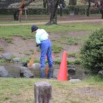 Kyoto Gyoen Garden Kyoto Gyoen Garden