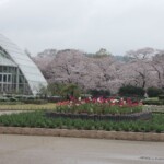 Botanischer Garten Kyoto Botanischer Garten Kyoto
