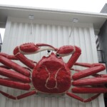 Eine riesige bewegliche Krabbe Eine riesige bewegliche Krabbe