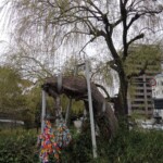 Origami-Tauben Origami-Tauben