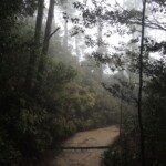 Weg bergab vom Mt. Misen Weg bergab vom Mt. Misen