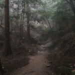 Weg bergab vom Mt. Misen Weg bergab vom Mt. Misen