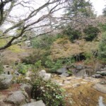 Momijidani Park Momijidani Park