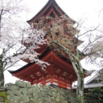 Itsukushima Shrine Itsukushima Shrine
