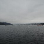 Austernbänke Austernbänke