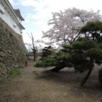 Im Burghof Im Burghof