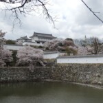 Im Burghof Im Burghof