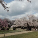 Burggarten Burggarten