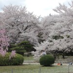 Burggarten Burggarten