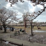 Vorplatz der Burg Vorplatz der Burg