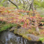 Koko-en - Park der Burg Koko-en - Park der Burg