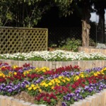 Botanischer Garten Himeji Botanischer Garten Himeji