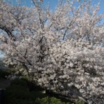 Botanischer Garten Himeji Botanischer Garten Himeji