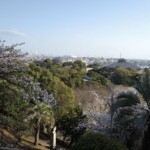 Blick zum Meer Blick zum Meer