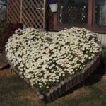 Botanischer Garten Himeji Botanischer Garten Himeji