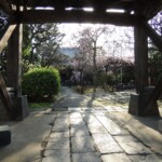 Tenno Schrein in Abendsonne Tenno Schrein in Abendsonne