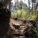 Wanderweg zum Kintoki Wanderweg zum Kintoki