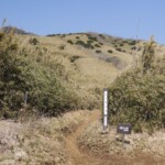 Wanderweg zum Kintoki Wanderweg zum Kintoki