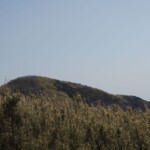 Wanderwege mit Bambus Wanderwege mit Bambus