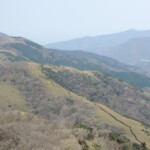 Wunderschöne Wanderwege durch Bambushaine Wunderschöne Wanderwege durch Bambushaine