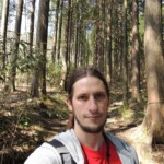 Im Zedernwald Im Zedernwald