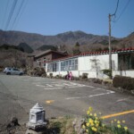 Narzissen mit Mt. Kintoki im Hintergrund Narzissen mit Mt. Kintoki im Hintergrund