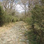 Die alte Tokaido Handelsstraße Die alte Tokaido Handelsstraße