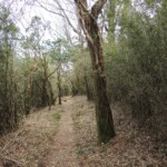 Wanderweg... Wanderweg...