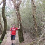 Wanderweg mit Phogl Wanderweg mit Phogl